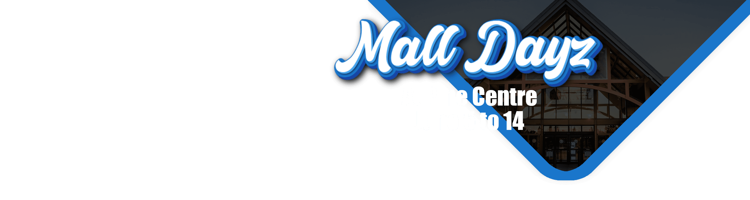 Mall DAyz Main Paige